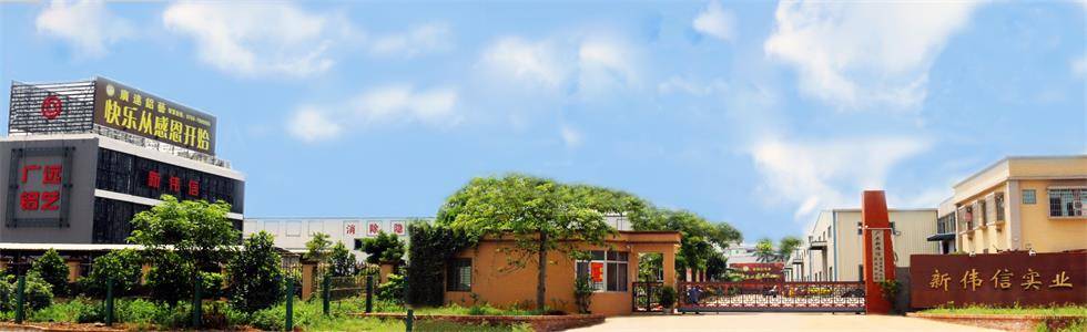 广东新伟信实业有限公司